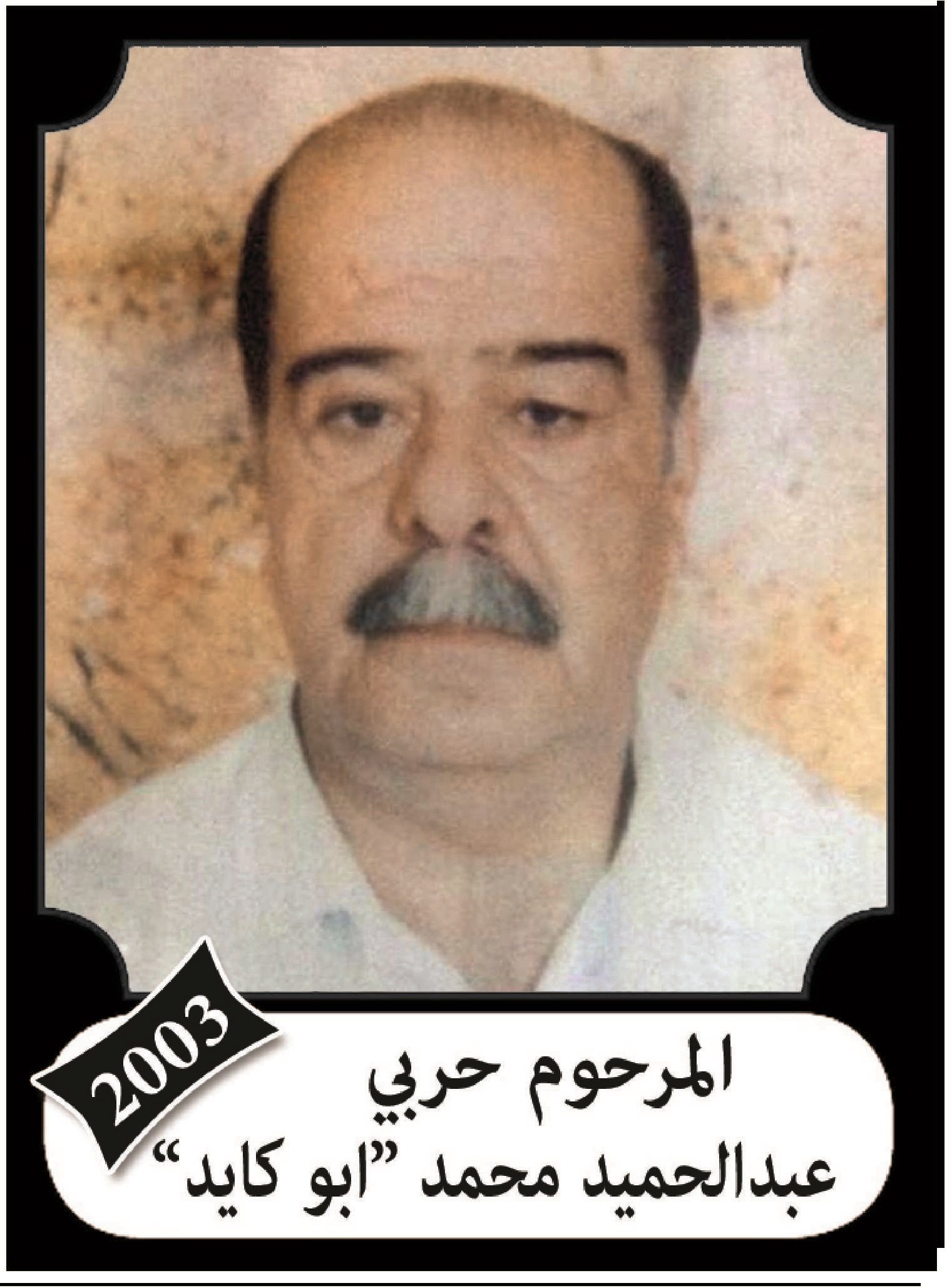 حربي عبد الحميد محمد سلهب